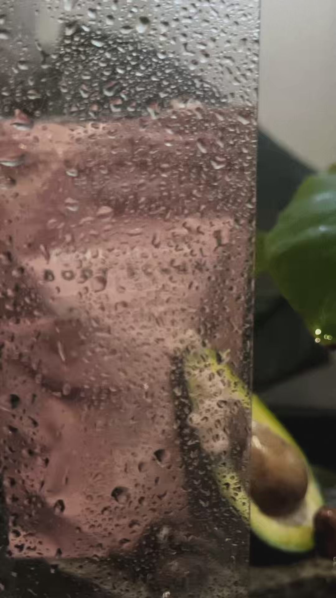 Προωθητικό βίντεο του Sugar Feelings Body Scrub της Bee Factor, με αισθητική spa και αισθησιακές κοντινές λήψεις που αναδεικνύουν τη ροζ, κρυσταλλική και βουτυρένια υφή του scrub. Εμφανίζονται πλάνα του προϊόντος μέσα στη συσκευασία, σκηνές εφαρμογής του scrub με τα χέρια πάνω στο δέρμα και στιγμές με νερό που αποδίδουν αίσθηση καθαρισμού, απολέπισης και φροντίδας σώματος. Στο τέλος προβάλλεται η ροζ συσκευασία του Bee Factor Sugar Feelings Body Scrub, τονίζοντας τον θρεπτικό και απολαυστικό χαρακτήρα του π